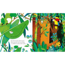 Usborne Peep inside Animal Homes Usborne