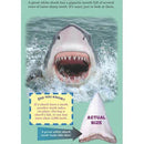 Who Would Win? Battle Royale (Hardback) Scholastic