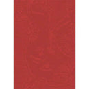 Wings of Fire Graphic Novel