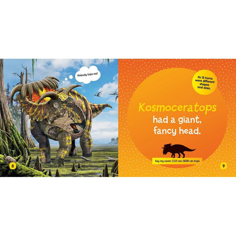 NGK Little Kids First Board Book: Dinosaurs (Board Book) National Geographic