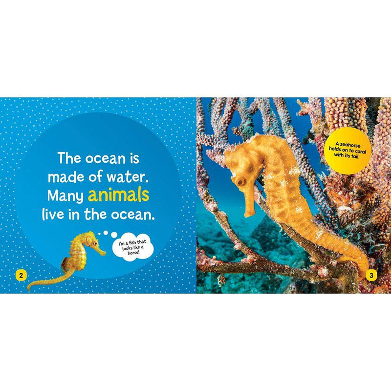 NGK Little Kids First Board Book: Ocean (Board Book) National Geographic