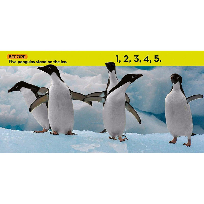 NGK Look and Learn: Before and After (Board Book) National Geographic