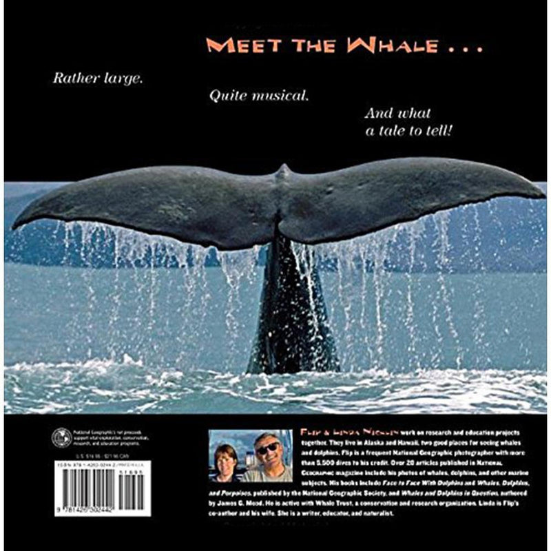 Face to Face with: Whales National Geographic