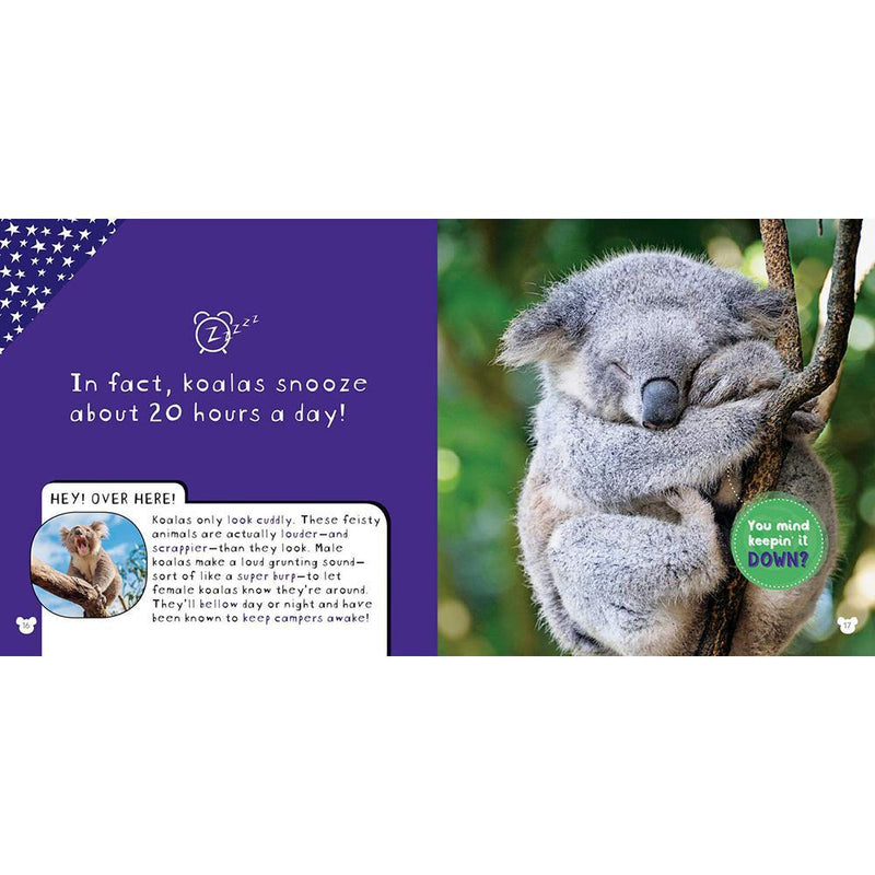 NGK: So Cute! Koalas (Hardback) National Geographic