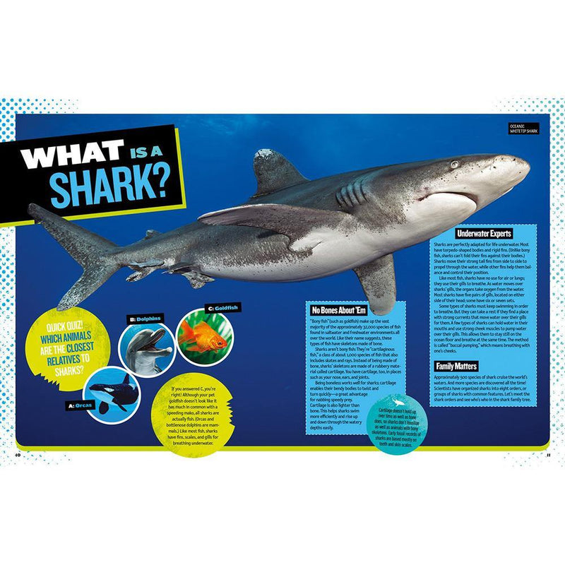NGK: The Ultimate Book of Sharks (Hardback) National Geographic