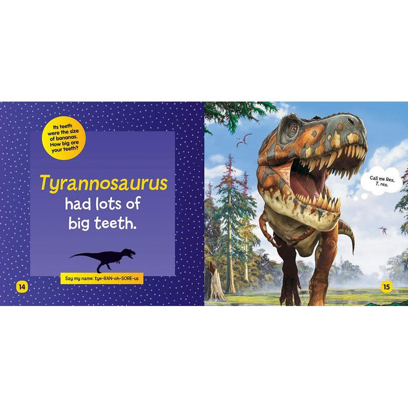 NGK Little Kids First Board Book: Dinosaurs (Board Book) National Geographic