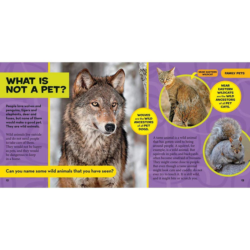 NGK Little Kids First Big Book of Pets (Hardback) National Geographic