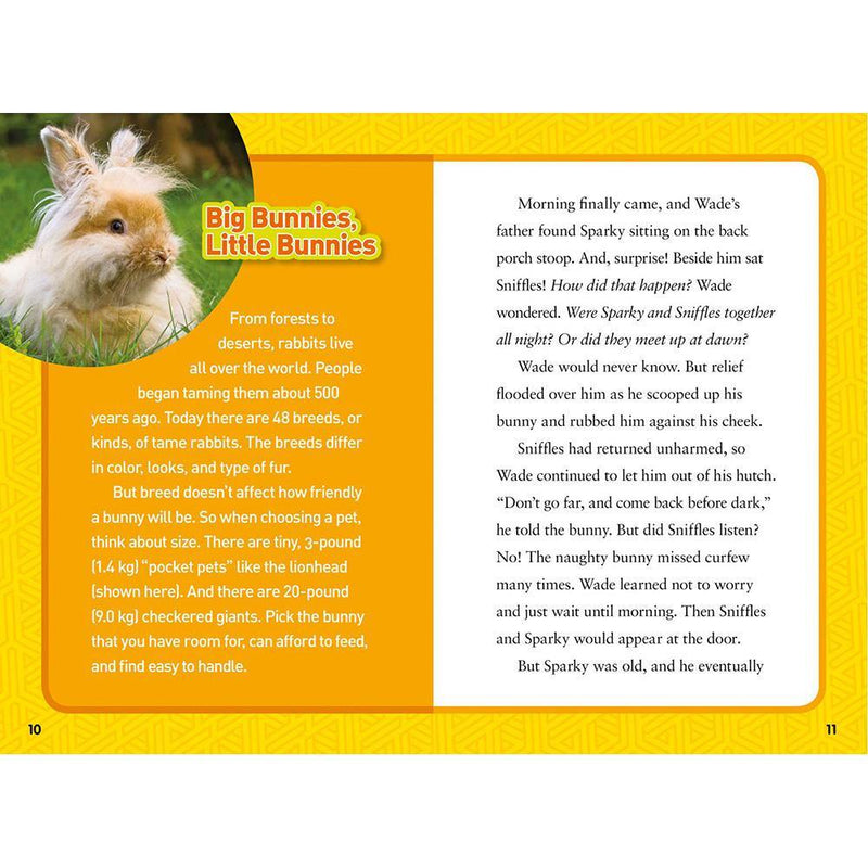 Rascally Rabbits (National Geographic Kids Chapters) National Geographic