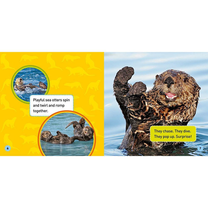 NGK Explore My World: Sea Otters National Geographic