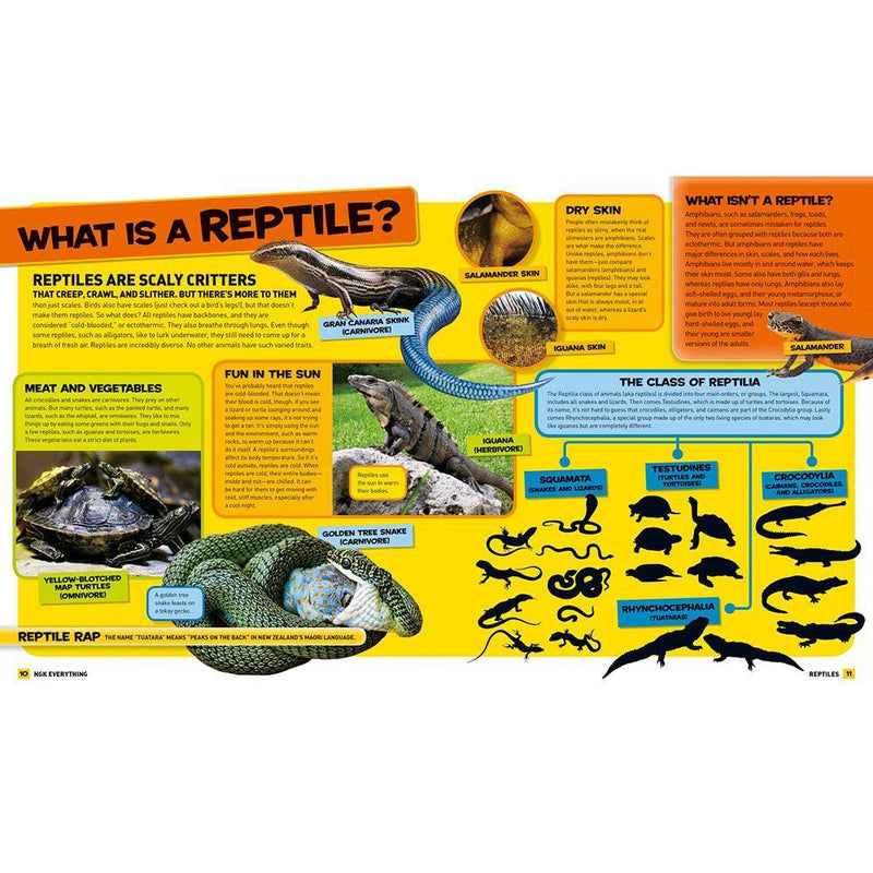 NGK Everything: Reptiles National Geographic