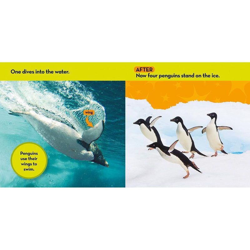 NGK Look and Learn: Before and After (Board Book) National Geographic