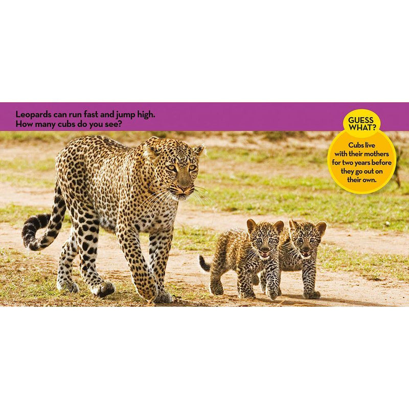 NGK Look and Learn: Baby Animals (Board Book) National Geographic