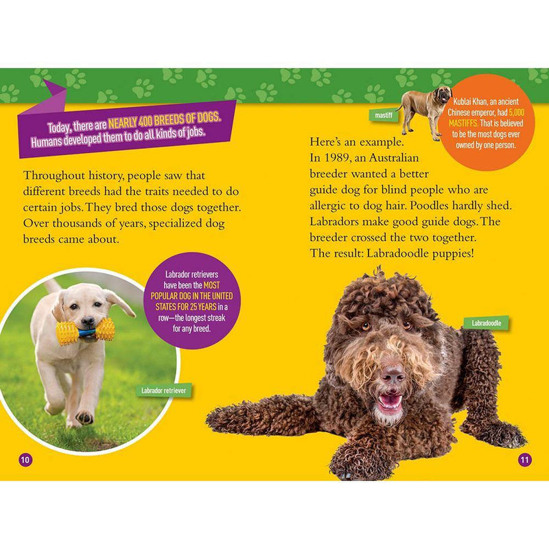 Woof! 100 Fun Facts About Dogs (L3) (National Geographic Kids Readers) National Geographic