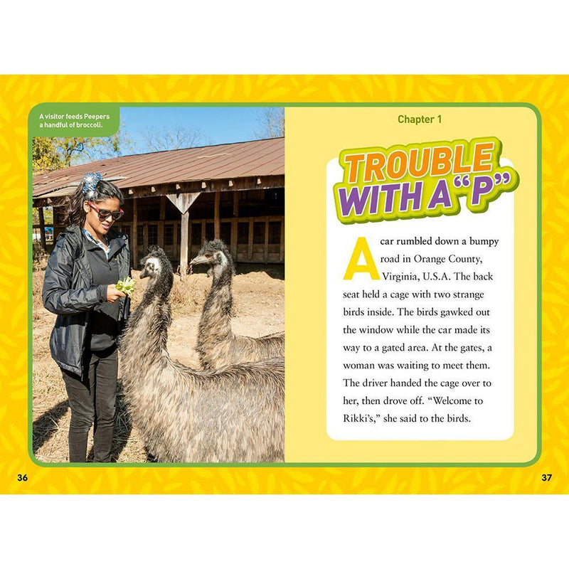 Terrier Trouble (National Geographic Kids Chapters) National Geographic