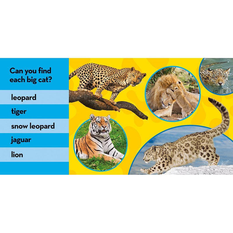 NGK Look and Learn: Big Cats (Board Book) National Geographic