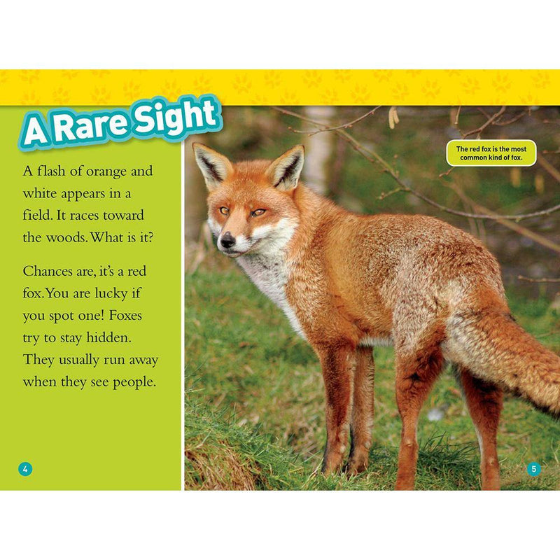 Foxes (L2) (National Geographic Kids Readers) National Geographic