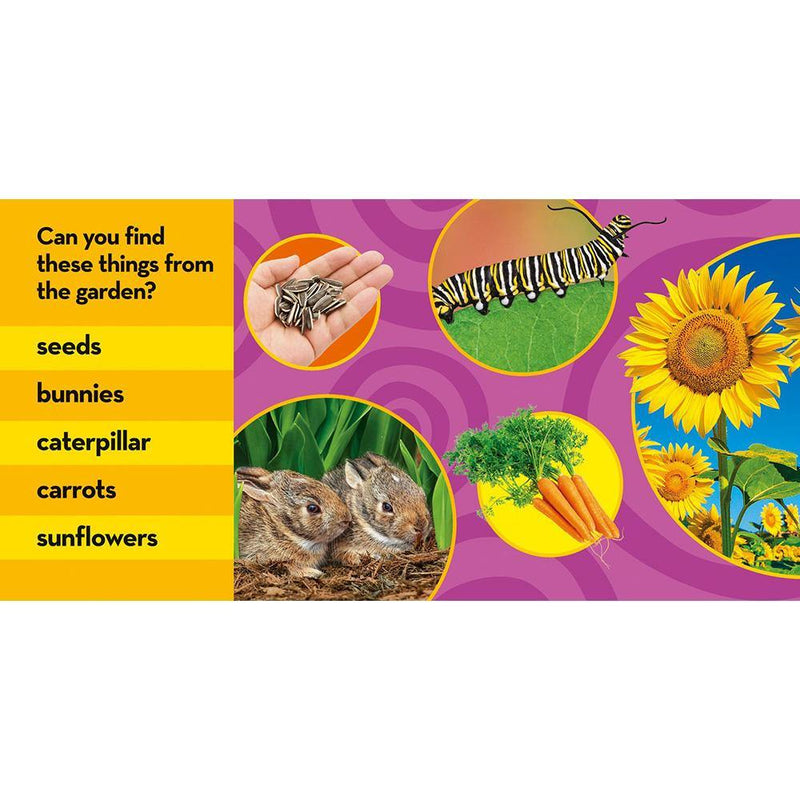 NGK Look and Learn: In My Garden (Board Book) National Geographic