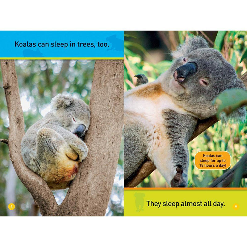Climb, Koala! (L0) (National Geographic Kids Readers) National Geographic
