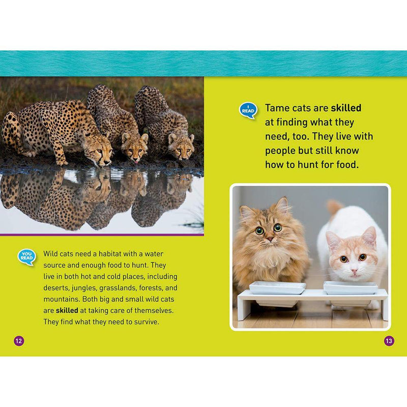 Cats (L1 Co-reader) (National Geographic Kids Readers) National Geographic