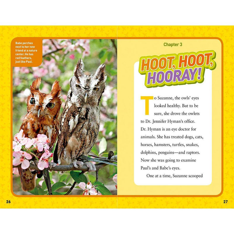 Hoot, Hoot, Hooray (National Geographic Kids Chapters) National Geographic