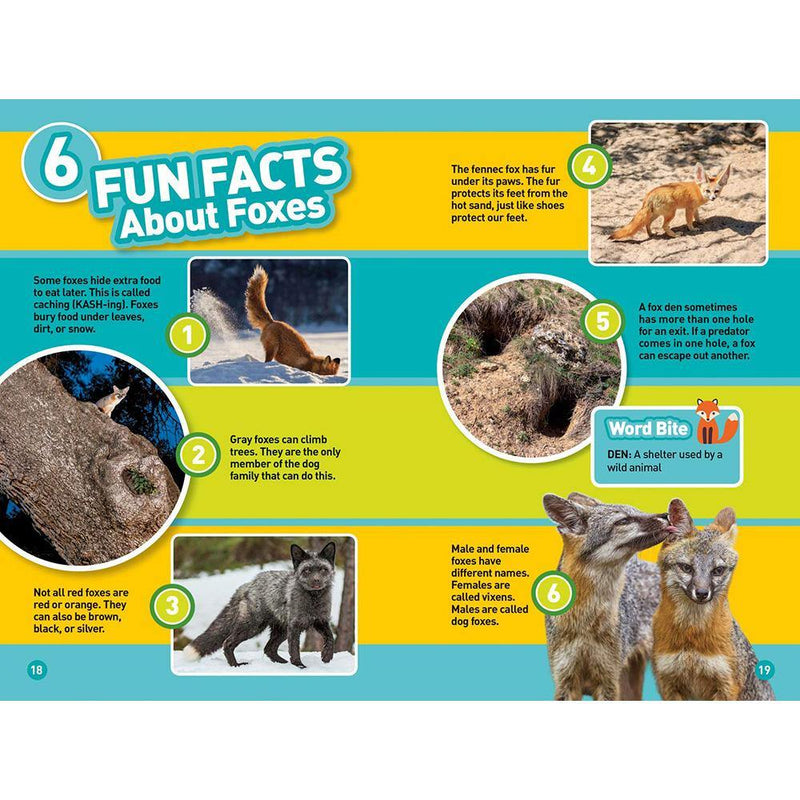 National Geographic Kids: Level 2: Foxes by Laura Marsh
