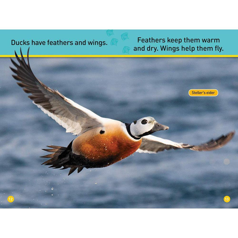 Ducks (L0) (National Geographic Kids Readers) National Geographic