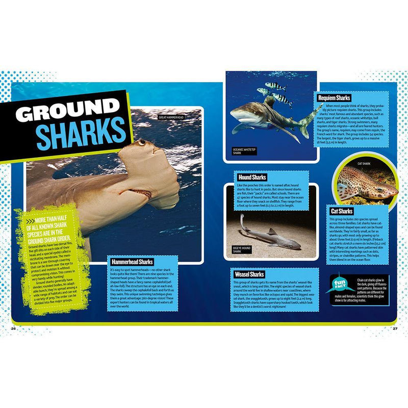 NGK: The Ultimate Book of Sharks (Hardback) National Geographic