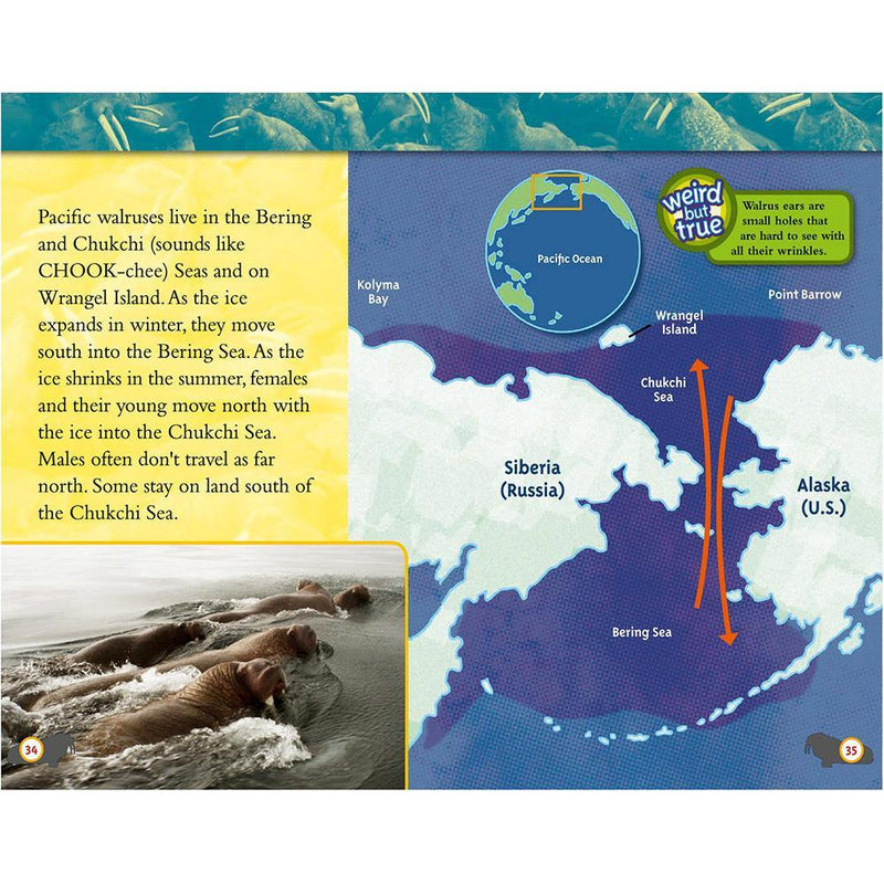 Great Migrations Amazing Animal Journeys (L3) (National Geographic Kids Readers) National Geographic