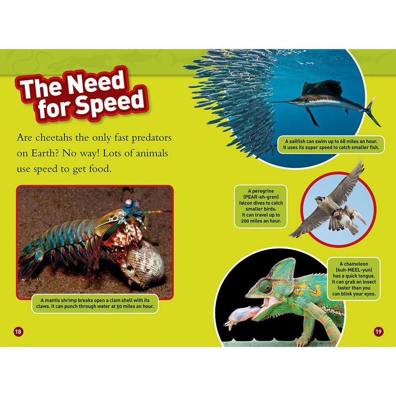 Predator Face-Off (L1) (National Geographic Kids Readers) National Geographic