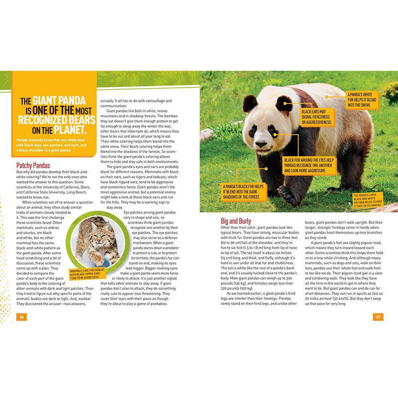 NGK Absolute Expert: Pandas (Hardback) National Geographic