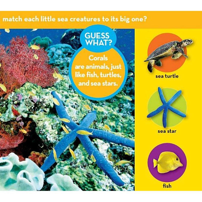 NGK Look and Learn: Match (Board Book) National Geographic