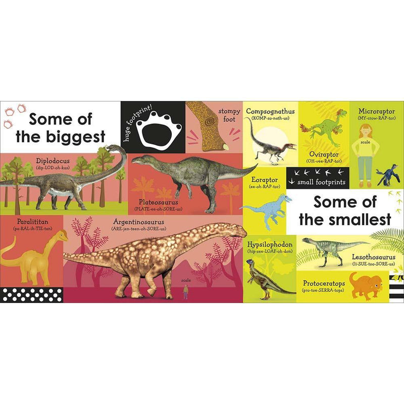 100 First Dinosaur Words (Board book) DK UK