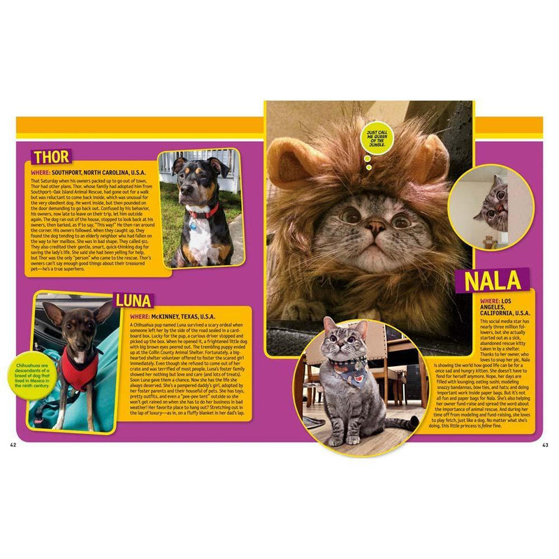 125 Pet Rescues: From Pound to Palace (National Geographic Kids) National Geographic