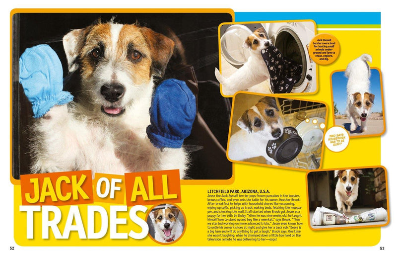 125 True Stories of Amazing Pets (National Geographic Kids) National Geographic