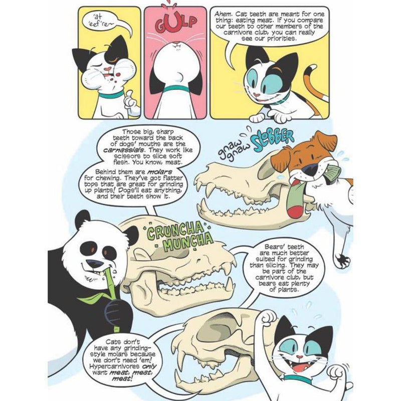 Science Comics: Cats: Nature and Nurture First Second