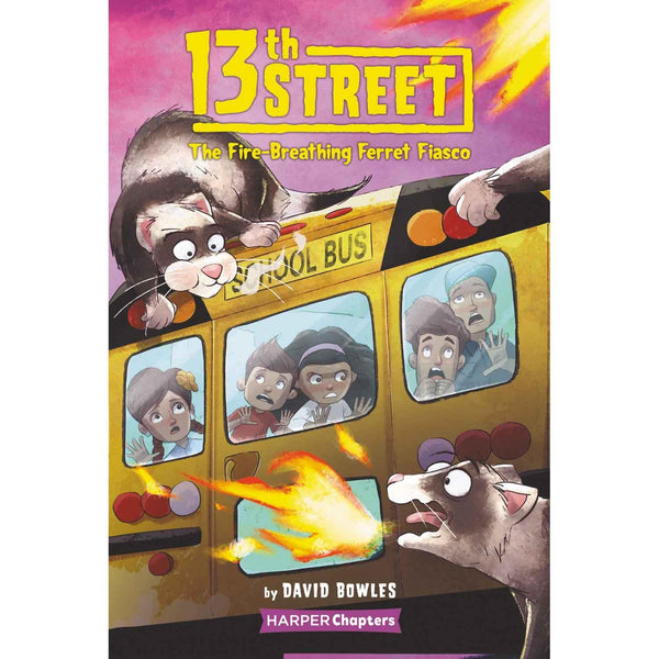 13th Street #2 The Fire-Breathing Ferret Fiasco (Paperback) Harpercollins US