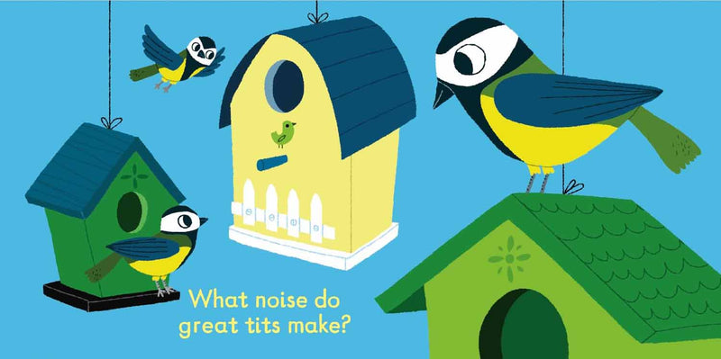 Listen to the Birds (Board Book)(Nosy Crow)-Nonfiction: 學前基礎 Preschool Basics-買書書 BuyBookBook