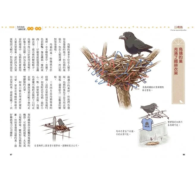 鳥類的機智都市生活 (一窺43種野鳥的逗趣百態)-非故事: 動物植物 Animal & Plant-買書書 BuyBookBook