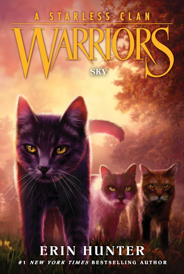 Warriors: A Starless Clan #2: Sky-Children’s / Teenage fiction: Action and adventure stories-買書書 BuyBookBook
