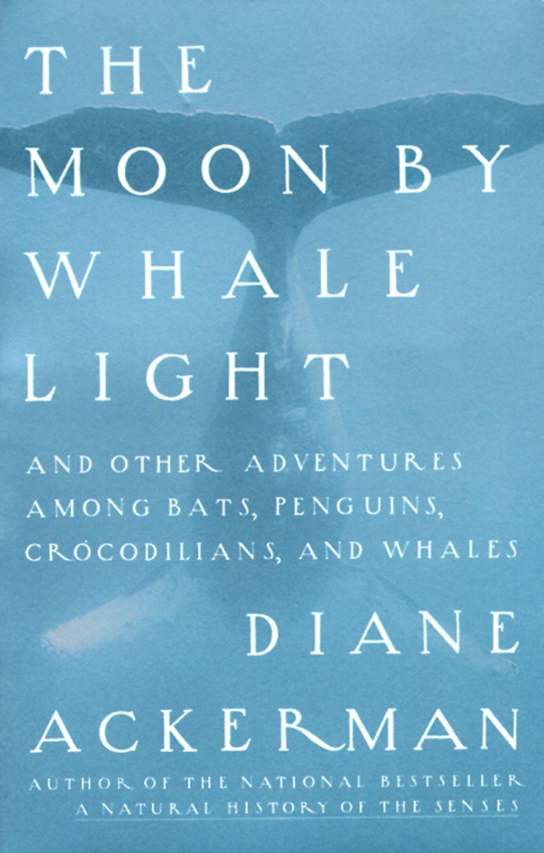 Moon By Whale Light