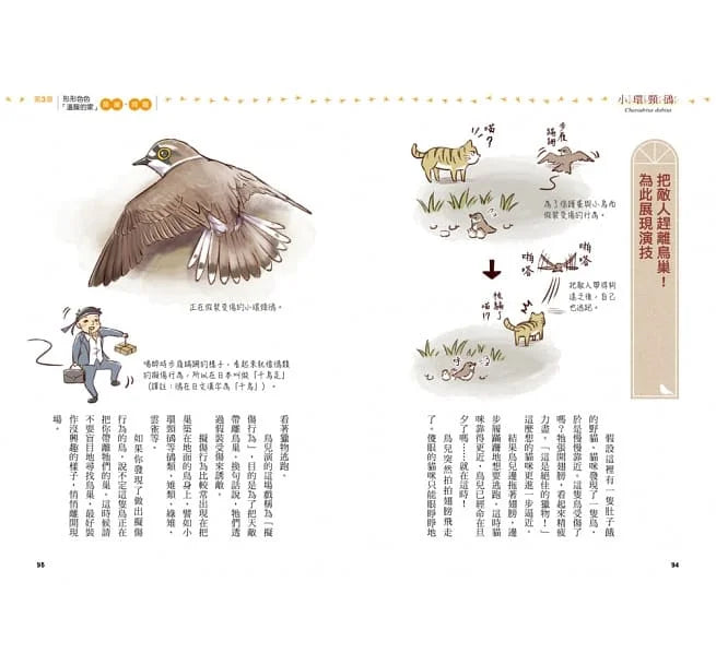 鳥類的機智都市生活 (一窺43種野鳥的逗趣百態)-非故事: 動物植物 Animal & Plant-買書書 BuyBookBook