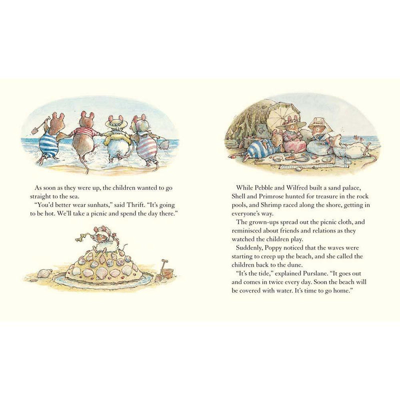Adventures in Brambly Hedge Collection (4 Books) Harpercollins (UK)