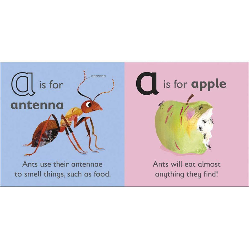 A is for Ant (Board book) DK UK