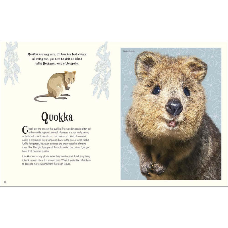 An Anthology of Intriguing Animals (Hardback) DK UK