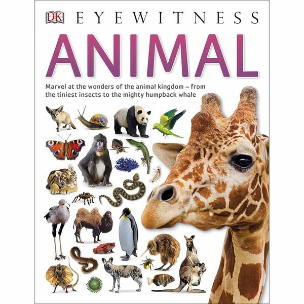 DK Eyewitness - Animal (Paperback) DK UK