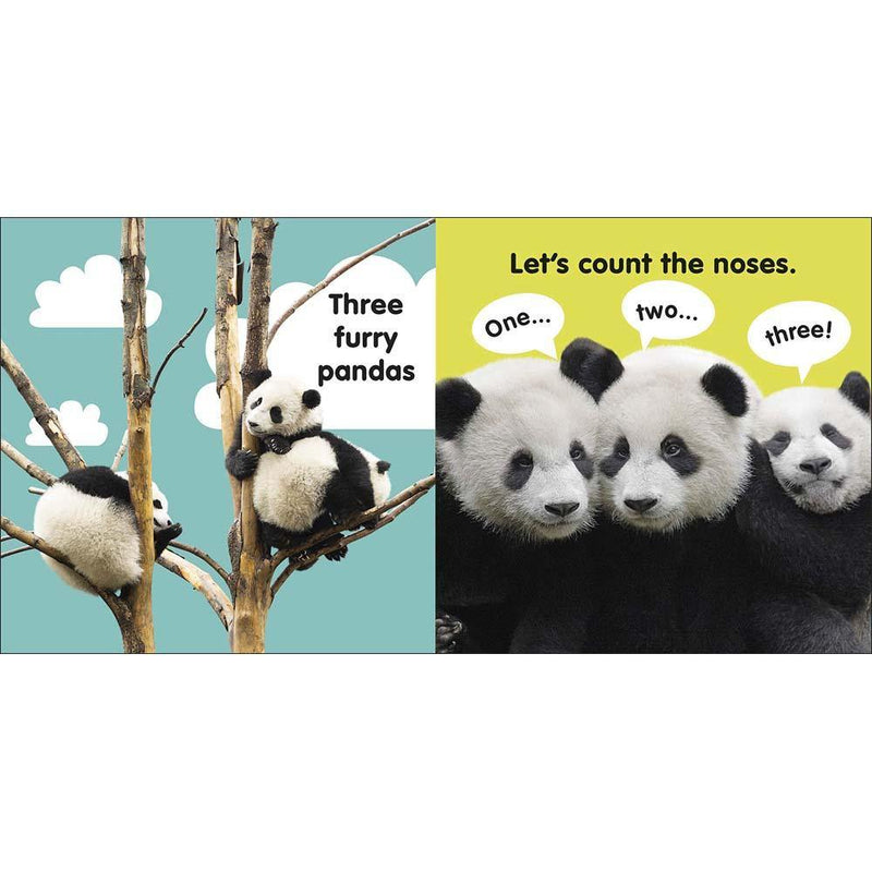 Baby Touch and Feel - Panda (Board book) DK UK