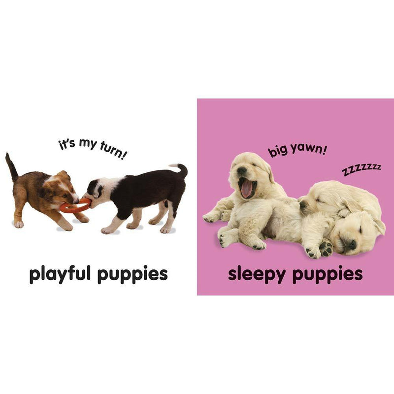 Baby Touch and Feel - Puppies (Board book) DK UK