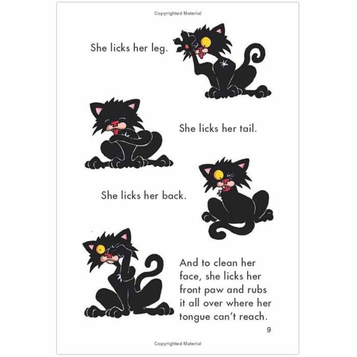 Bad Kitty Gets a Bath (Graphic Novel) (Hardback) Macmillan US