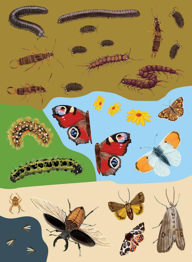 Beetles, Butterflies and other Minibeasts Nosy Crow
