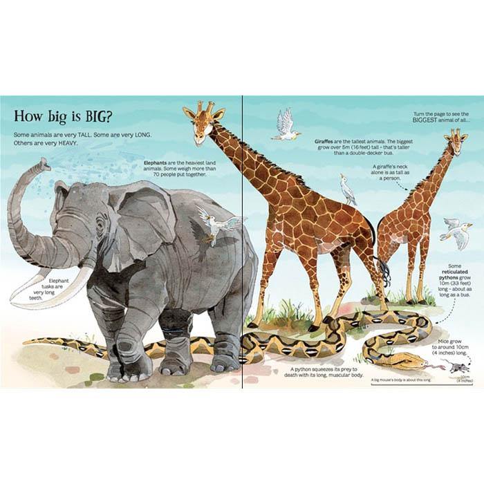 Big book of animals Usborne